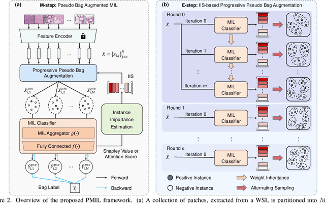 Figure 3 for Shapley Values-enabled Progressive Pseudo Bag Augmentation for Whole Slide Image Classification