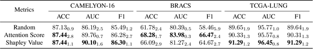 Figure 4 for Shapley Values-enabled Progressive Pseudo Bag Augmentation for Whole Slide Image Classification