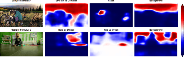 Figure 2 for Evaluating Atypical Gaze Patterns through Vision Models: The Case of Cortical Visual Impairment