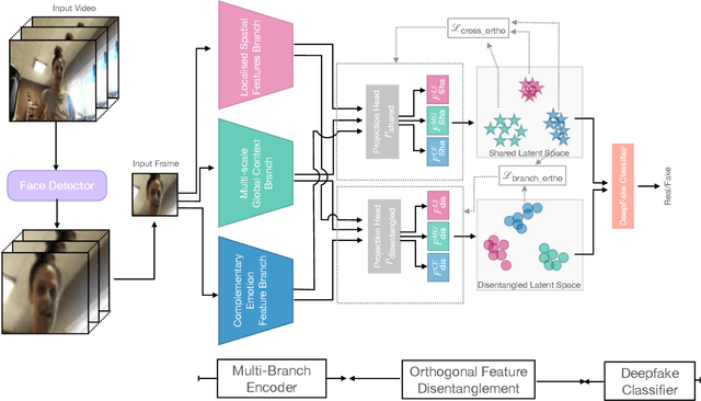 Figure 2 for Cross-Branch Orthogonality for Improved Generalization in Face Deepfake Detection