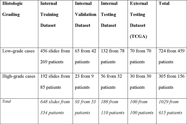 Figure 3 for Vision Transformer-Based Deep Learning for Histologic Classification of Endometrial Cancer