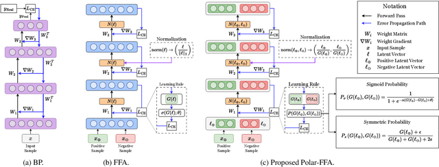 Figure 1 for On the Improvement of Generalization and Stability of Forward-Only Learning via Neural Polarization