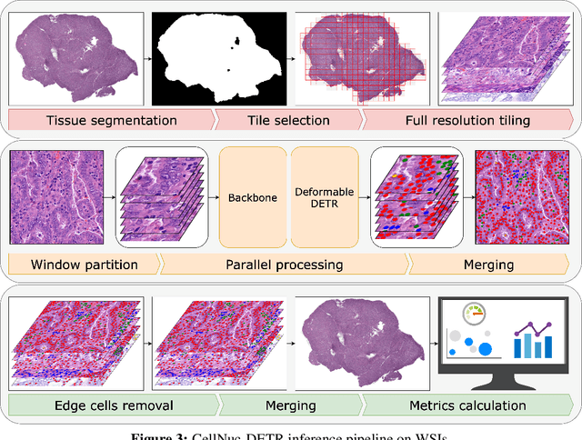 Figure 4 for Cell Nuclei Detection and Classification in Whole Slide Images with Transformers