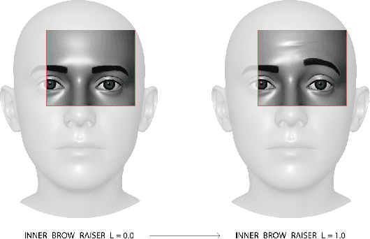 Figure 2 for Unimodal and Multimodal Static Facial Expression Recognition for Virtual Reality Users with EmoHeVRDB