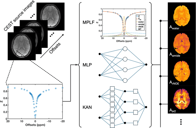 Figure 1 for CEST-KAN: Kolmogorov-Arnold Networks for CEST MRI Data Analysis