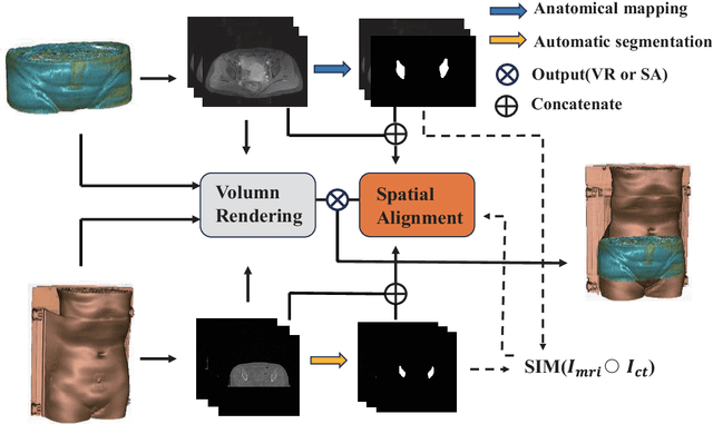 Figure 1 for Weakly supervised alignment and registration of MR-CT for cervical cancer radiotherapy