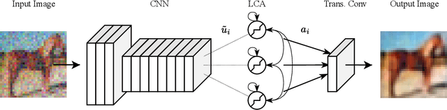 Figure 1 for WARP-LCA: Efficient Convolutional Sparse Coding with Locally Competitive Algorithm