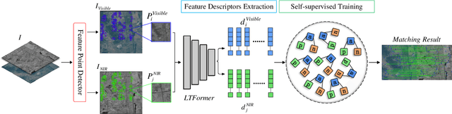 Figure 1 for A Light-weight Transformer-based Self-supervised Matching Network for Heterogeneous Images