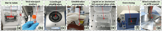 Figure 1 for On-Site Precise Screening of SARS-CoV-2 Systems Using a Channel-Wise Attention-Based PLS-1D-CNN Model with Limited Infrared Signatures
