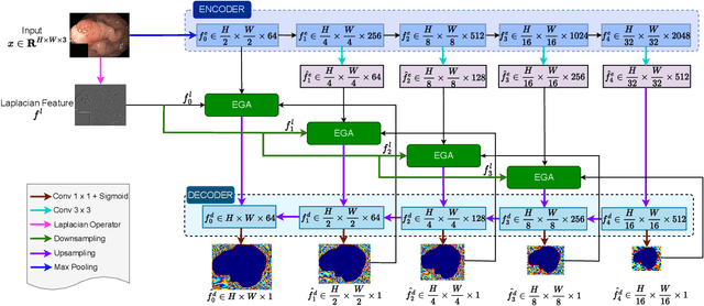 Figure 1 for MEGANet: Multi-Scale Edge-Guided Attention Network for Weak Boundary Polyp Segmentation