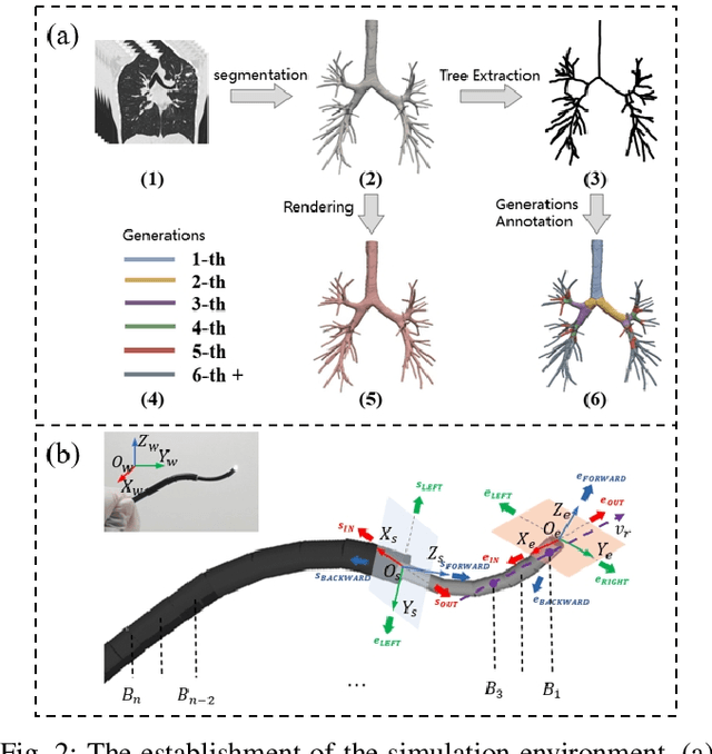 Figure 2 for BronchoCopilot: Towards Autonomous Robotic Bronchoscopy via Multimodal Reinforcement Learning