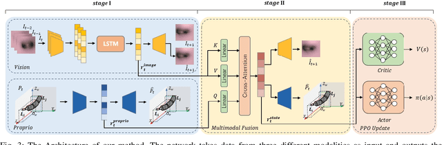 Figure 3 for BronchoCopilot: Towards Autonomous Robotic Bronchoscopy via Multimodal Reinforcement Learning