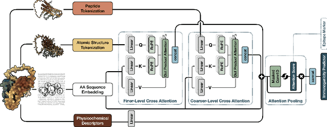 Figure 1 for Immunogenicity Prediction with Dual Attention Enables Vaccine Target Selection