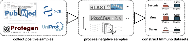 Figure 3 for Immunogenicity Prediction with Dual Attention Enables Vaccine Target Selection