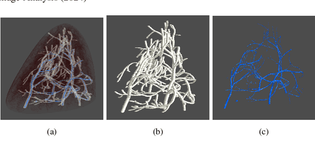 Figure 1 for TopoTxR: A topology-guided deep convolutional network for breast parenchyma learning on DCE-MRIs