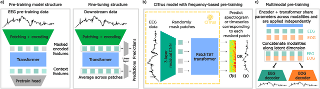 Figure 1 for CiTrus: Squeezing Extra Performance out of Low-data Bio-signal Transfer Learning