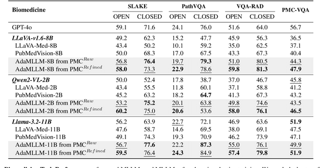 Figure 4 for On Domain-Specific Post-Training for Multimodal Large Language Models