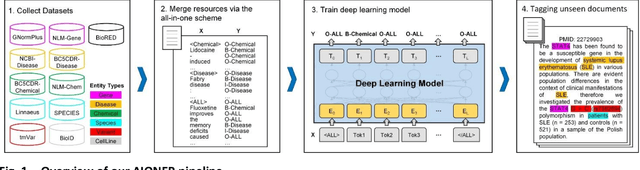 Figure 1 for AIONER: All-in-one scheme-based biomedical named entity recognition using deep learning