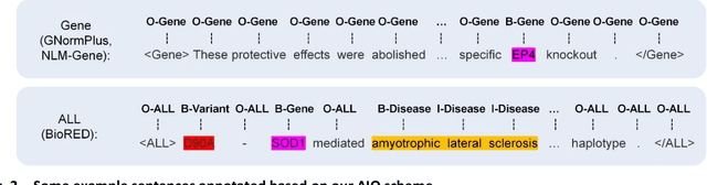 Figure 3 for AIONER: All-in-one scheme-based biomedical named entity recognition using deep learning