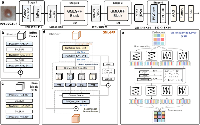 Figure 1 for MpoxMamba: A Grouped Mamba-based Lightweight Hybrid Network for Mpox Detection