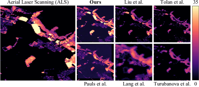 Figure 1 for Capturing Temporal Dynamics in Large-Scale Canopy Tree Height Estimation