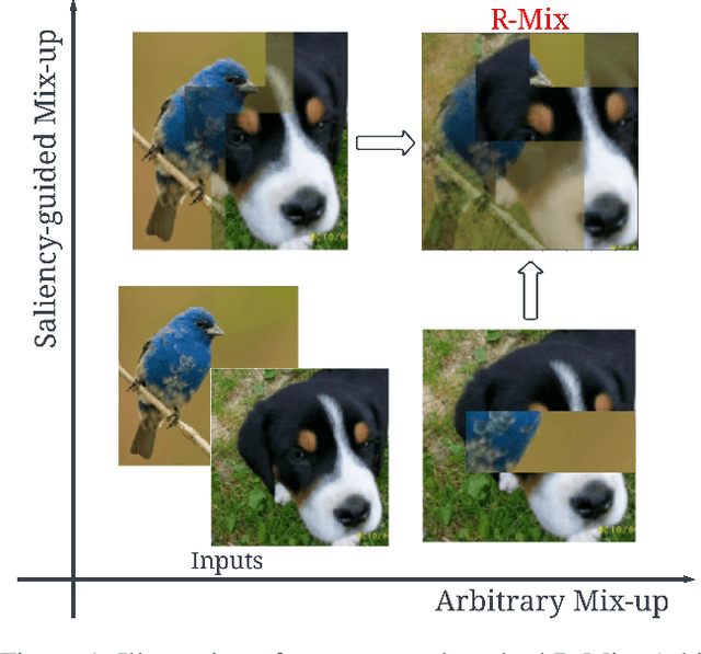 Figure 1 for Expeditious Saliency-guided Mix-up through Random Gradient Thresholding