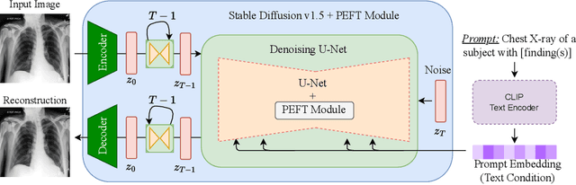 Figure 1 for Pixels Under Pressure: Exploring Fine-Tuning Paradigms for Foundation Models in High-Resolution Medical Imaging