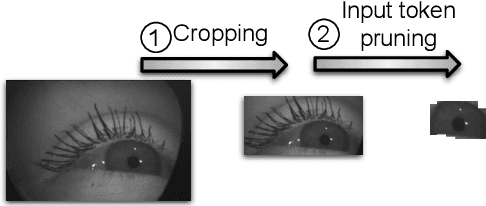 Figure 4 for FovealNet: Advancing AI-Driven Gaze Tracking Solutions for Optimized Foveated Rendering System Performance in Virtual Reality