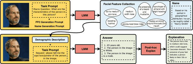 Figure 2 for Chain-of-Thought Prompting for Demographic Inference with Large Multimodal Models