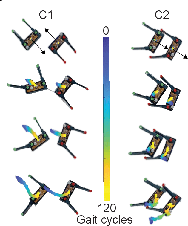 Figure 2 for Collision Induced Binding and Transport of Shape Changing Robot Pairs