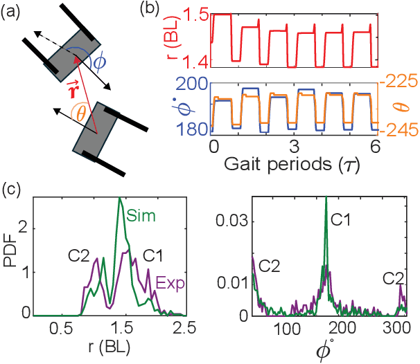 Figure 3 for Collision Induced Binding and Transport of Shape Changing Robot Pairs