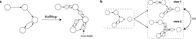 Figure 1 for Half-Hop: A graph upsampling approach for slowing down message passing