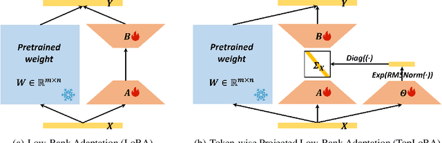 Figure 1 for Beyond Higher Rank: Token-wise Input-Output Projections for Efficient Low-Rank Adaptation