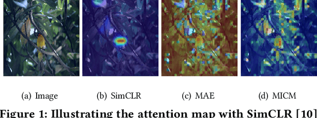 Figure 1 for MICM: Rethinking Unsupervised Pretraining for Enhanced Few-shot Learning