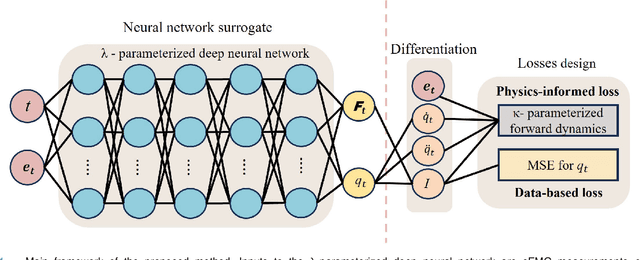 Figure 1 for Physics-informed Deep Learning for Muscle Force Prediction with Unlabeled sEMG Signals