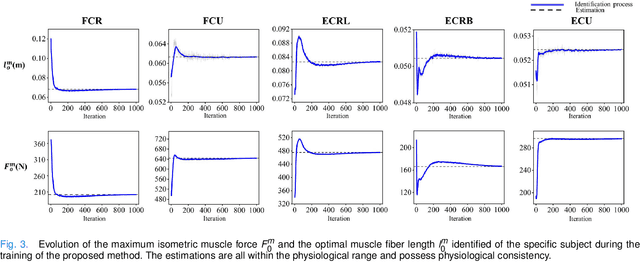 Figure 3 for Physics-informed Deep Learning for Muscle Force Prediction with Unlabeled sEMG Signals