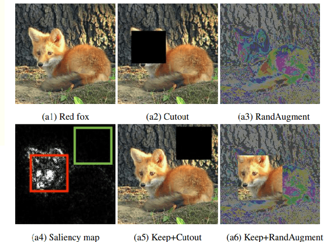 Figure 4 for Advanced Data Augmentation Approaches: A Comprehensive Survey and Future directions