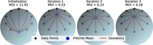 Figure 1 for Simultaneous Optimization of Geodesics and Fréchet Means