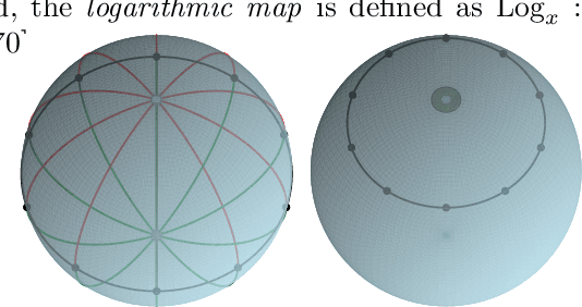 Figure 2 for Simultaneous Optimization of Geodesics and Fréchet Means