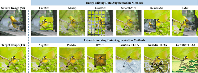 Figure 1 for GenMix: Effective Data Augmentation with Generative Diffusion Model Image Editing