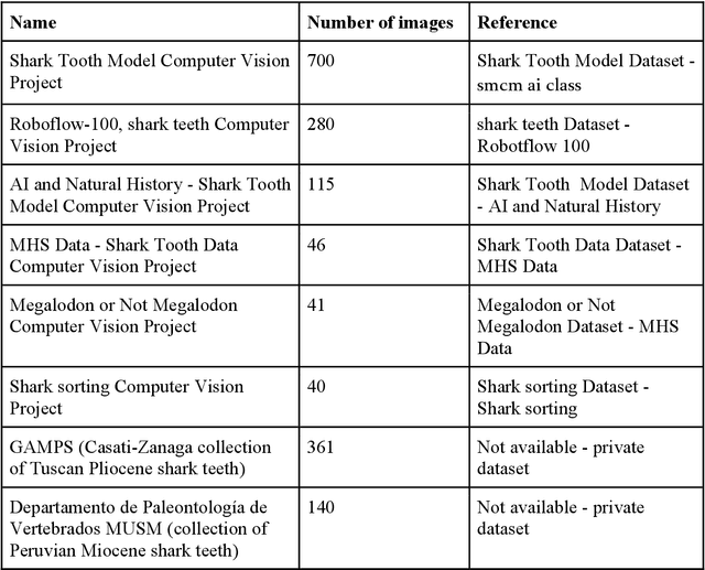 Figure 1 for Artificial Intelligence-powered fossil shark tooth identification: Unleashing the potential of Convolutional Neural Networks