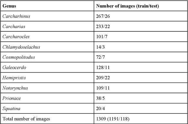 Figure 2 for Artificial Intelligence-powered fossil shark tooth identification: Unleashing the potential of Convolutional Neural Networks