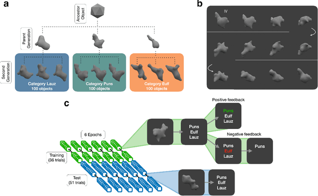Figure 1 for Immediate generalisation in humans but a generalisation lag in deep neural networks -- evidence for representational divergence?