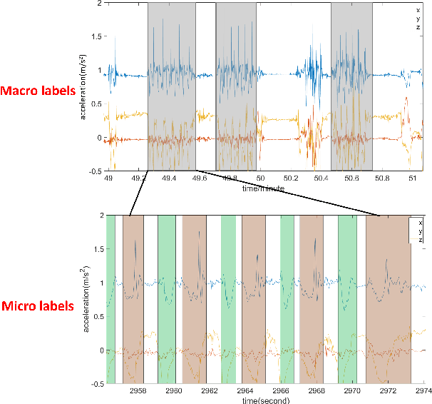 Figure 2 for DS-MS-TCN: Otago Exercises Recognition with a Dual-Scale Multi-Stage Temporal Convolutional Network