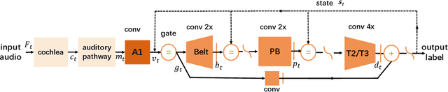 Figure 2 for BAN: Neuroanatomical Aligning in Auditory Recognition between Artificial Neural Network and Human Cortex