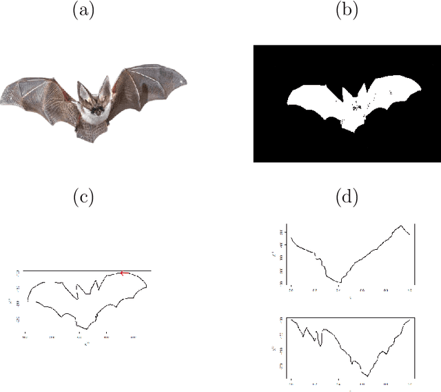 Figure 1 for A functional approach for curve alignment and shape analysis