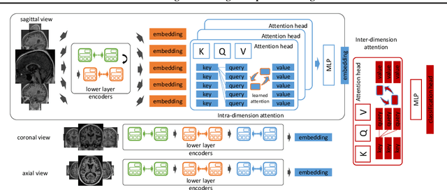 Figure 3 for MedTransformer: Accurate AD Diagnosis for 3D MRI Images through 2D Vision Transformers