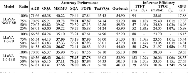 Figure 2 for FoPru: Focal Pruning for Efficient Large Vision-Language Models