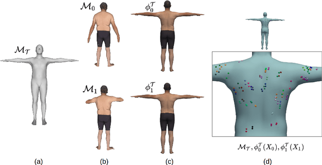 Figure 1 for Revisiting Lesion Tracking in 3D Total Body Photography