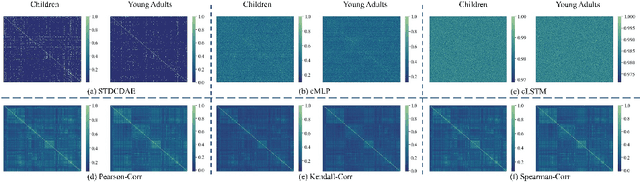 Figure 4 for A Deep Spatio-Temporal Architecture for Dynamic Effective Connectivity Network Analysis Based on Dynamic Causal Discovery